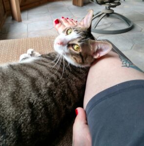 Cat-snuggles-Timmy